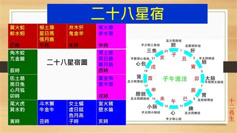 冠帶運|紫微斗數長生十二神——冠帶